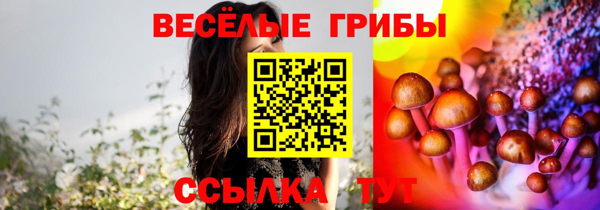 Псилоцибиновые грибы мухоморы Нарткала